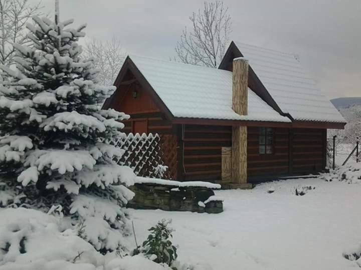 Agroturystyka W Ogrodach Sanok Luaran gambar