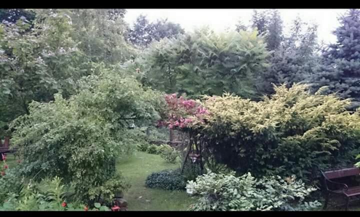Agroturystyka W Ogrodach Sanok Luaran gambar